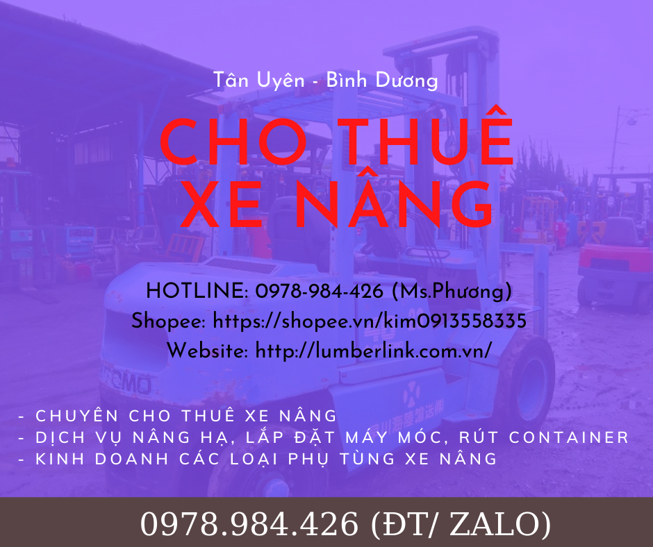 cho-thue-xe-nang-cu-tai-thuan-an-binh-duong