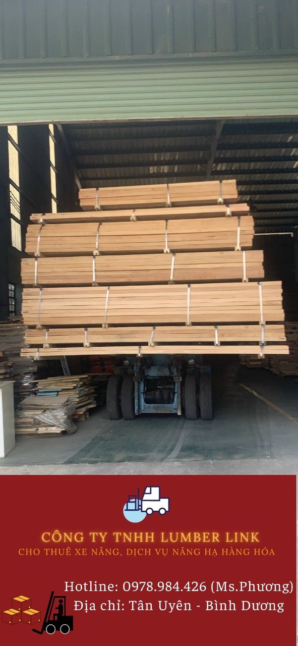 cho-thue-xe-nang-cu-tai-phu-chanh-binh-duong