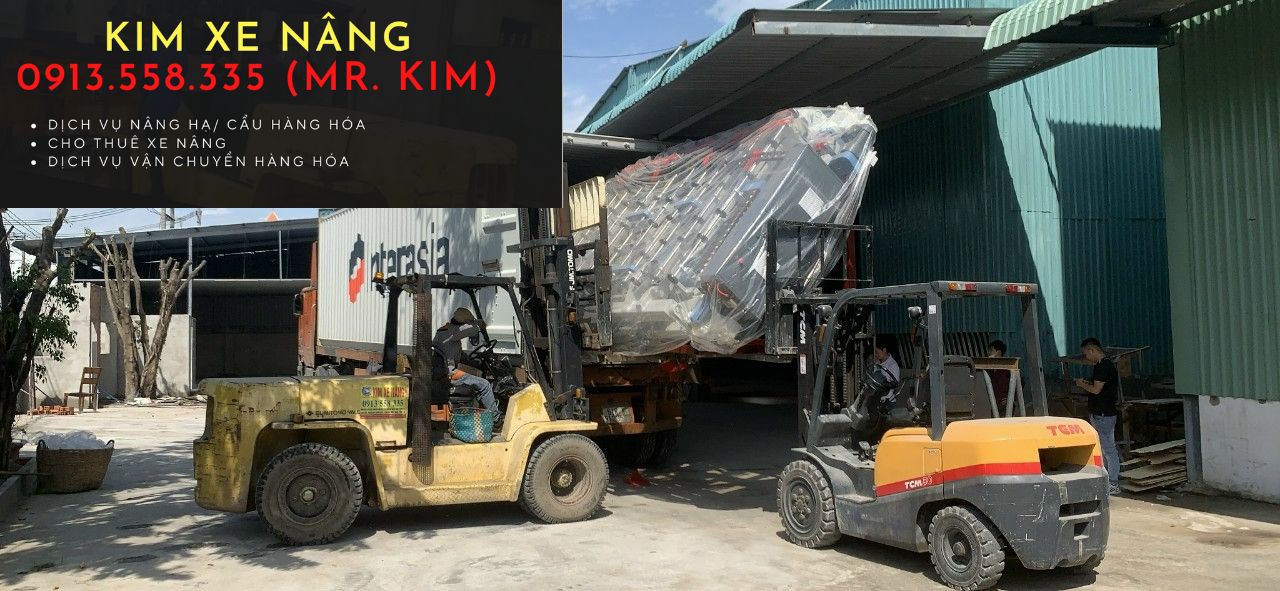 dịch-vu-xe-nang-rut-container-va-nang-ha-hang-hoa-tai-kcn-dong-an-binh-duong