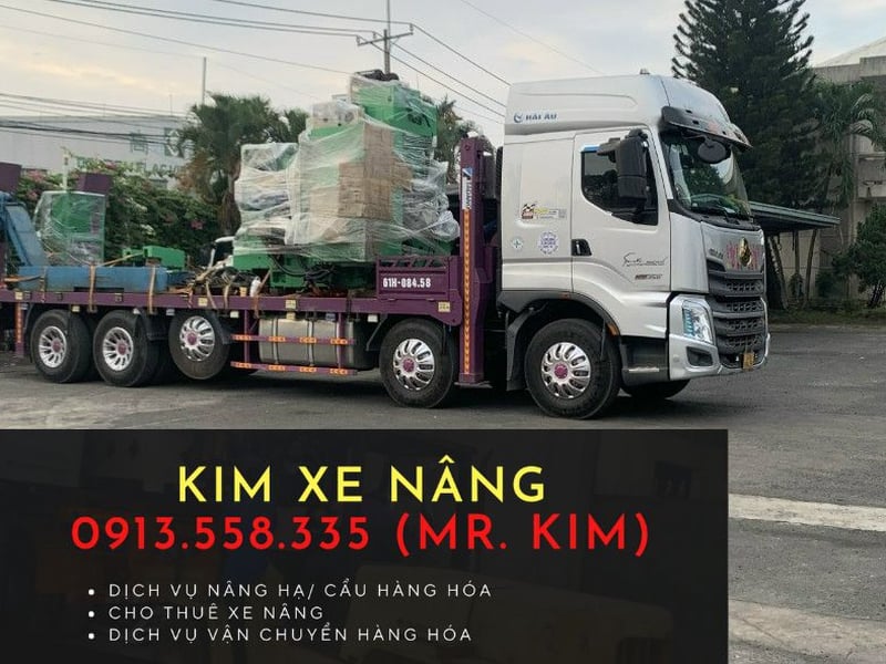 Cho Thuê Xe Nâng Tại An Phú, Tân Khánh, Thủ Dầu Một | Giá Tốt