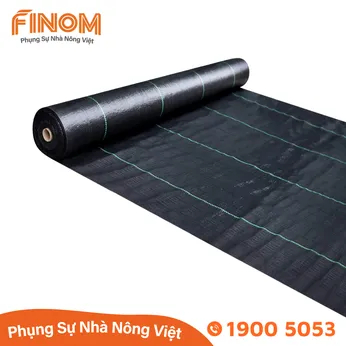 Bạt trải nền nhà màng