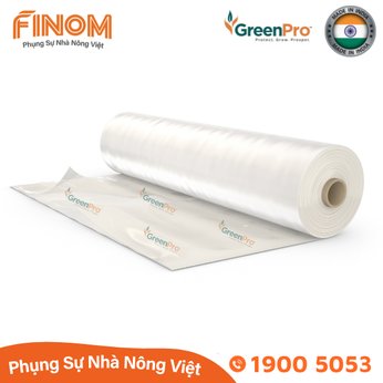 Màng lợp nhà kính GreenPro (Ấn Độ) - khổ 6.2m