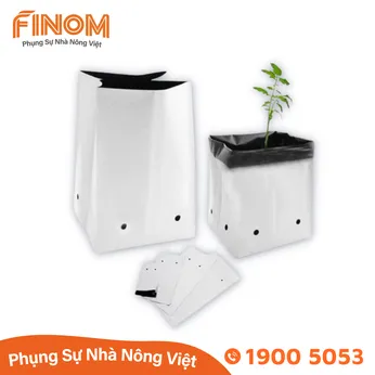 Túi PE trồng cây giá thể