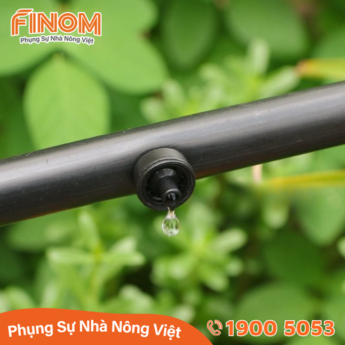 Bù áp GALI Israel lưu lượng 4 lít/giờ