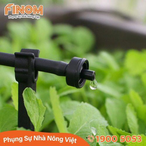 Bù áp GALI Israel lưu lượng 4 lít/giờ