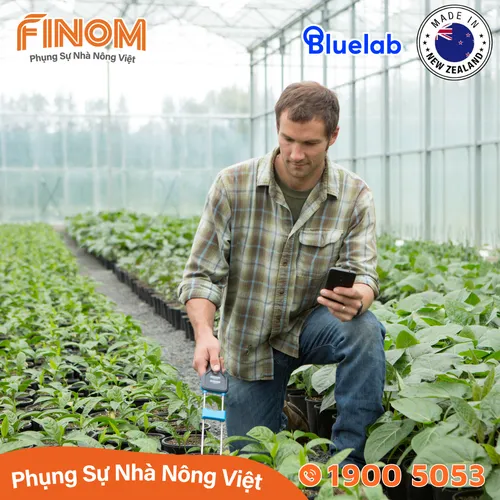 Bút đo cầm tay EC giá thể và đất Bluelab