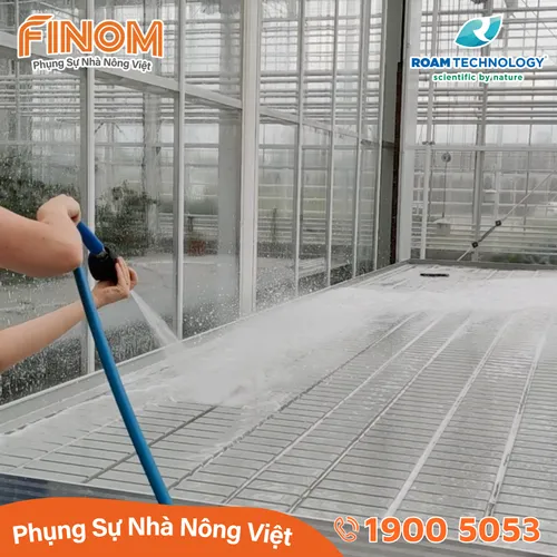 Dung dịch khử khuẩn Huwa-San - Can 5 kg