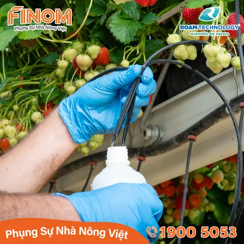 Dung dịch khử khuẩn Huwa-San - Can 5 kg