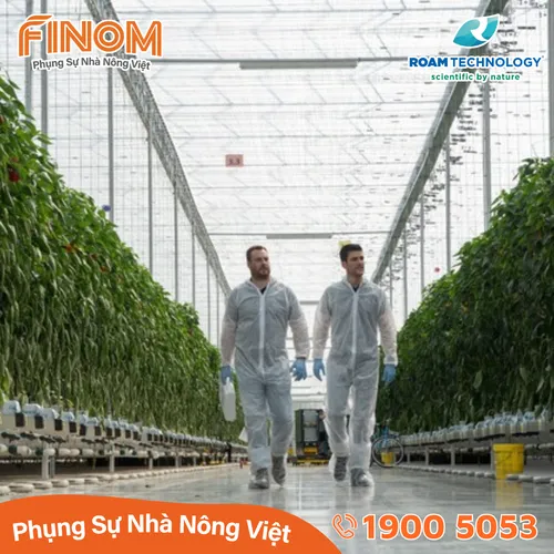 Dung dịch khử khuẩn Huwa-San - Can 5 kg