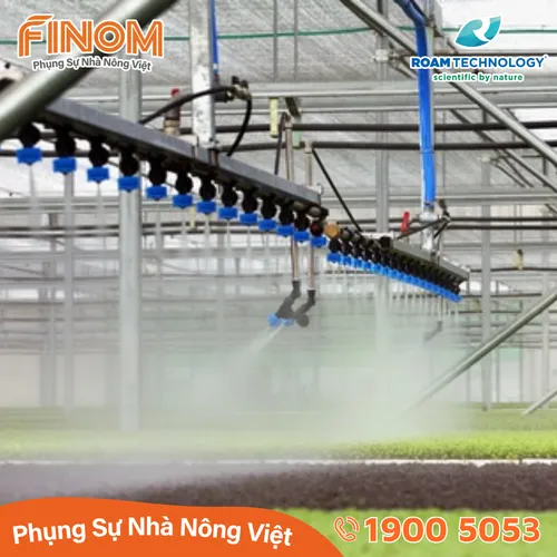 Dung dịch khử khuẩn Huwa-San - Can 5 kg