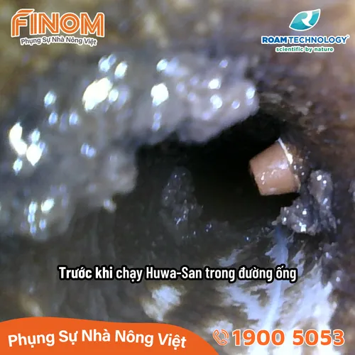 Dung dịch khử khuẩn Huwa-San - Can 5 kg