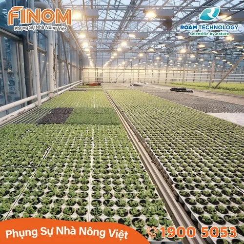 Dung dịch khử khuẩn Huwa-San - Can 5 kg