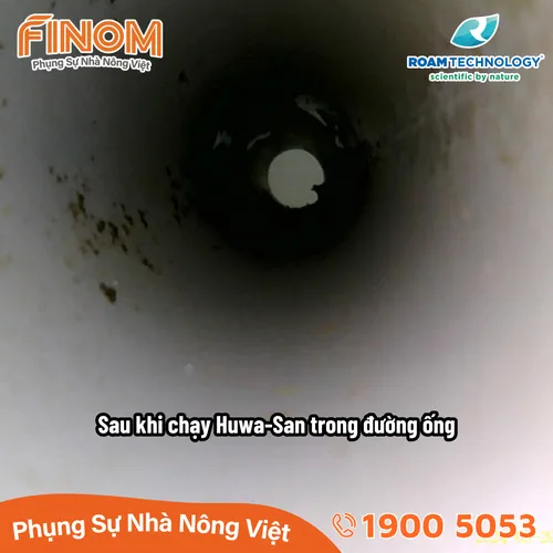 Dung dịch khử khuẩn Huwa-San - Can 5 kg