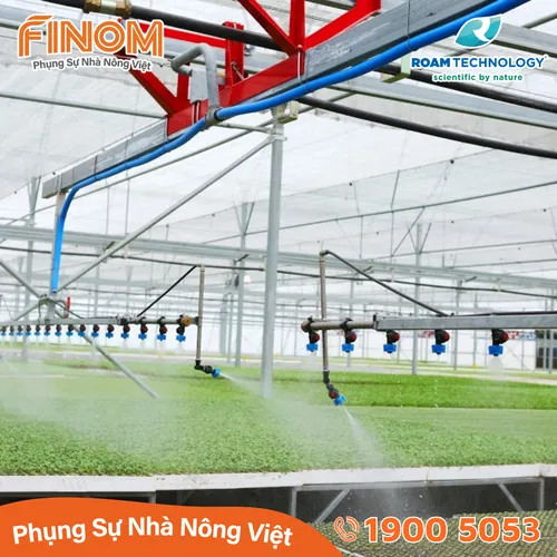 Dung dịch khử khuẩn Huwa-San - Can 5 kg