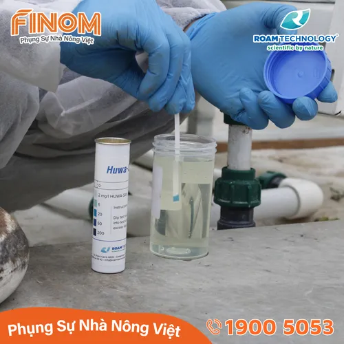 Que Test Peroxide (H₂O₂) Huwa-San – Tuýp 100 Miếng