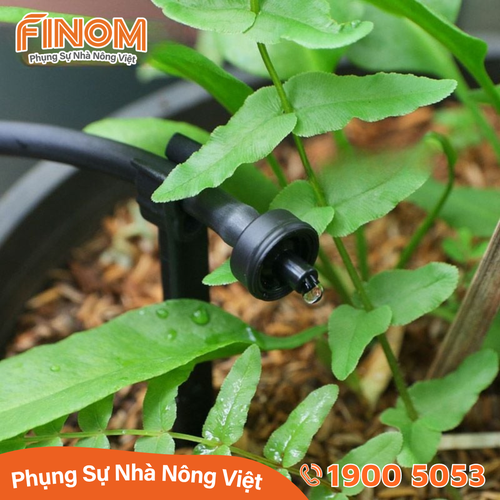 Bù áp GALI Israel lưu lượng 4 lít/giờ