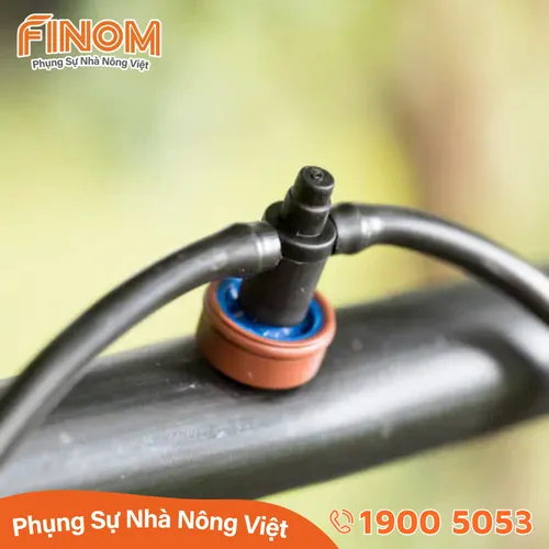 Bù áp GALI Israel lưu lượng 4 lít/giờ