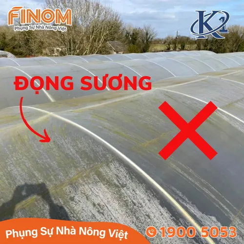 Màng lợp nhà kính 7 lớp K1