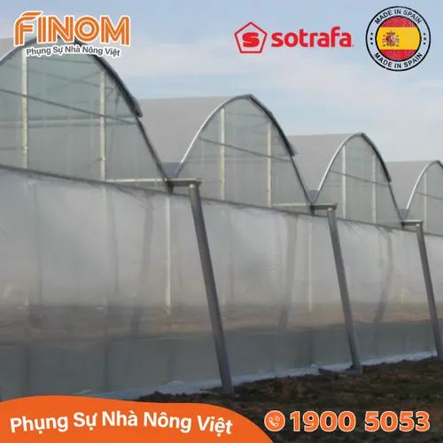 Màng lợp nhà kính Sotrafa (Tây Ban Nha) - khổ 6.2m
