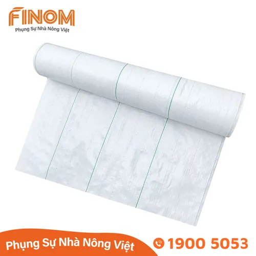 Bạt trải nền nhà màng