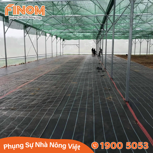 Bạt trải nền nhà màng 180gr/m²