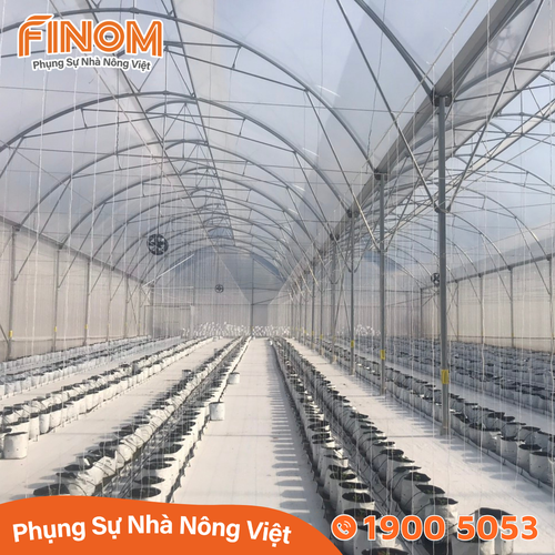 Bạt trải nền nhà màng 180gr/m²