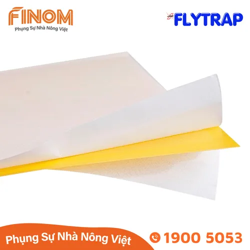 Bẫy dính côn trùng FLYTRAP (dạng miếng)