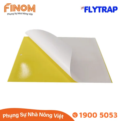 Bẫy dính côn trùng FLYTRAP (dạng miếng)