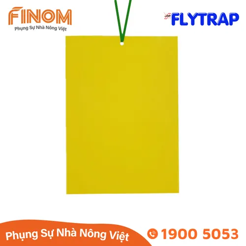 Bẫy dính côn trùng FLYTRAP (dạng miếng)