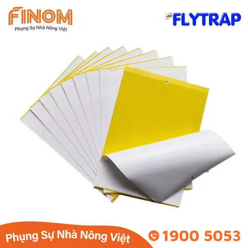 Bẫy dính côn trùng FLYTRAP (dạng miếng)