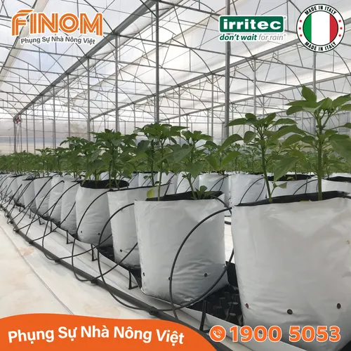 Bộ nhỏ giọt bù áp chia 2 ghim tưới KH2