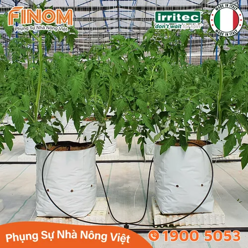 Bộ nhỏ giọt bù áp chia 4 ghim tưới KH4