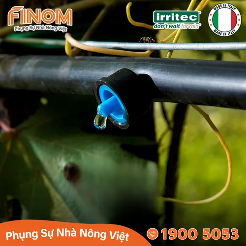 Bù áp nhỏ giọt Irritec 2 lít/giờ