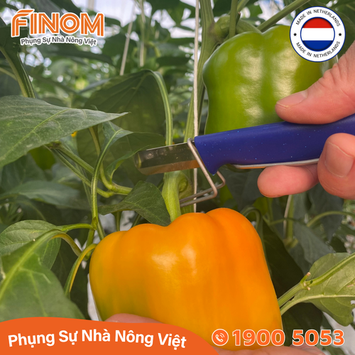 Dao cắt thu hoạch trái Harvest