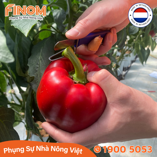 Dao cắt thu hoạch trái Harvest