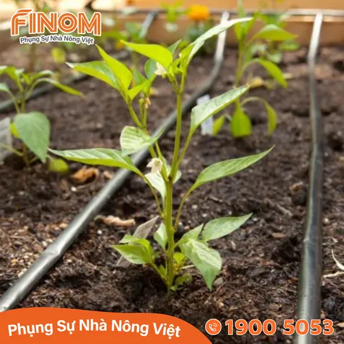 Dây nhỏ giọt ISAREN 12mm