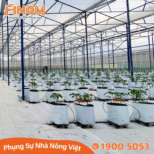 Đế kê chậu F1
