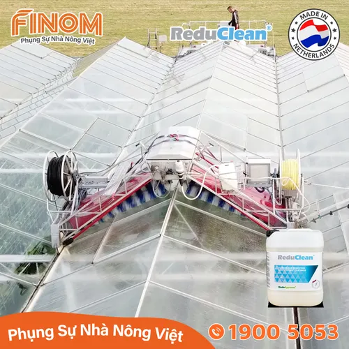 Dung dịch rửa sơn chống nóng chuyên dụng ReduClean
