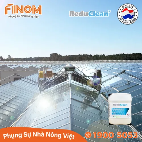 Dung dịch rửa sơn chống nóng chuyên dụng ReduClean