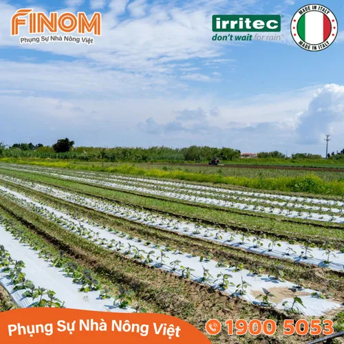 Dây nhỏ giọt Irritec ExxTreme Tape (16/0.15/1.5/10/3050m)