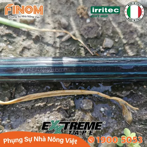 Dây nhỏ giọt Irritec ExxTreme Tape (16/0.15/1.5/10/3050m)