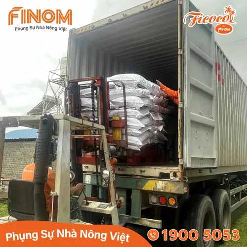 Giá thể xơ dừa ươm cây Coco Boost