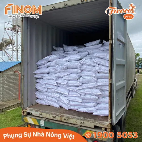 Giá thể xơ dừa ươm cây Coco Boost