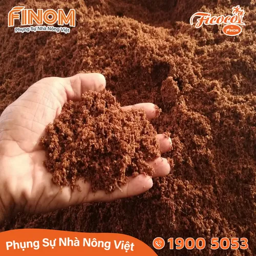 Giá thể xơ dừa ươm cây Coco Boost
