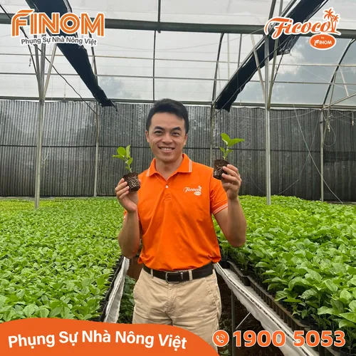 Giá thể xơ dừa ươm cây Coco Boost