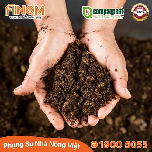 Giá thể ươm cây peat moss QTS