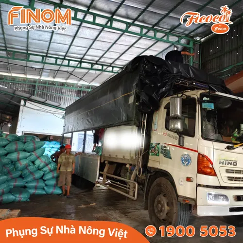 Giá thể xơ dừa chưa xử lý 50/50