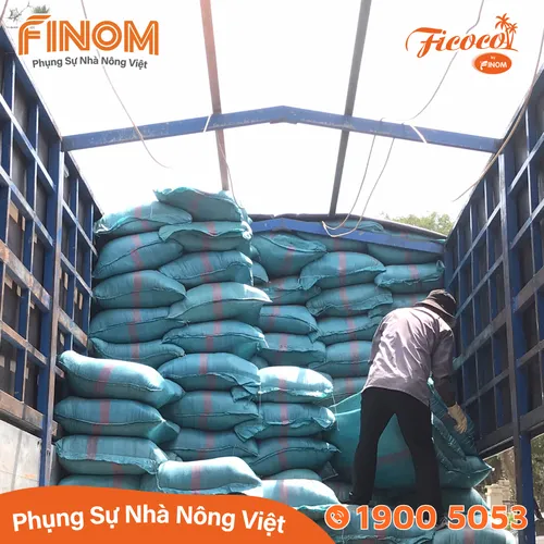 Giá thể xơ dừa chưa xử lý 50/50