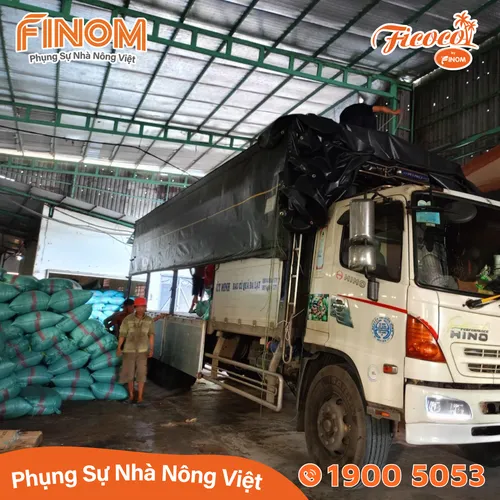Giá thể xơ dừa chưa xử lý 70/30