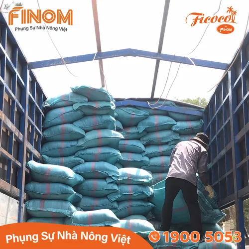 Giá thể xơ dừa chưa xử lý 70/30